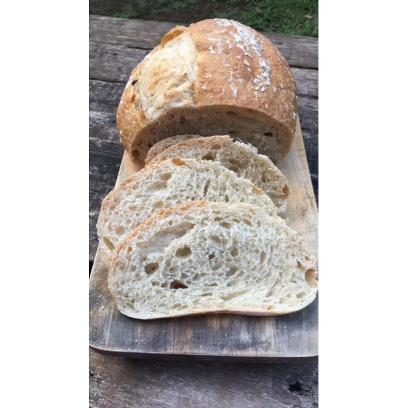 Slow Fermented